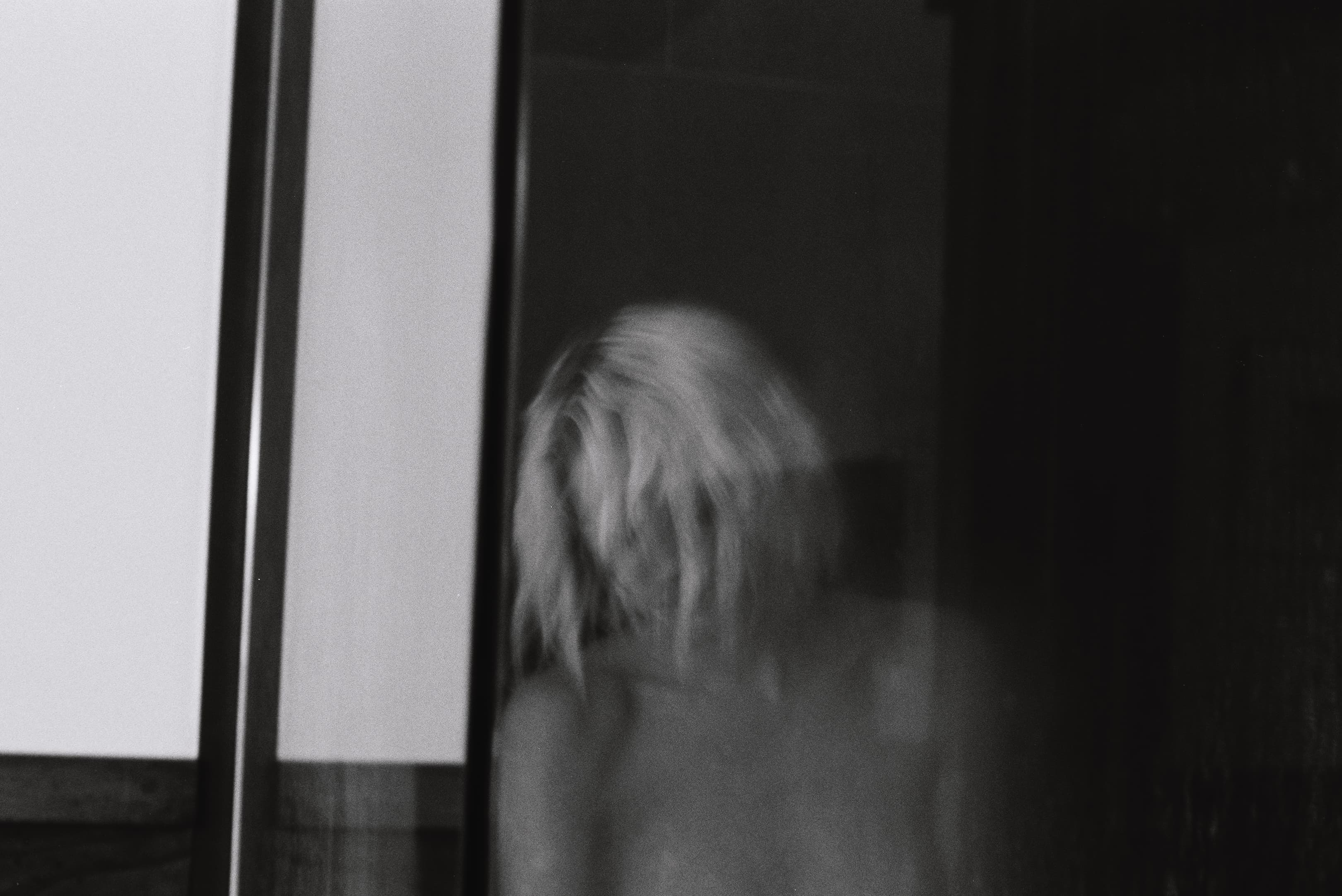 Mila Boudreau photograph - : ANA