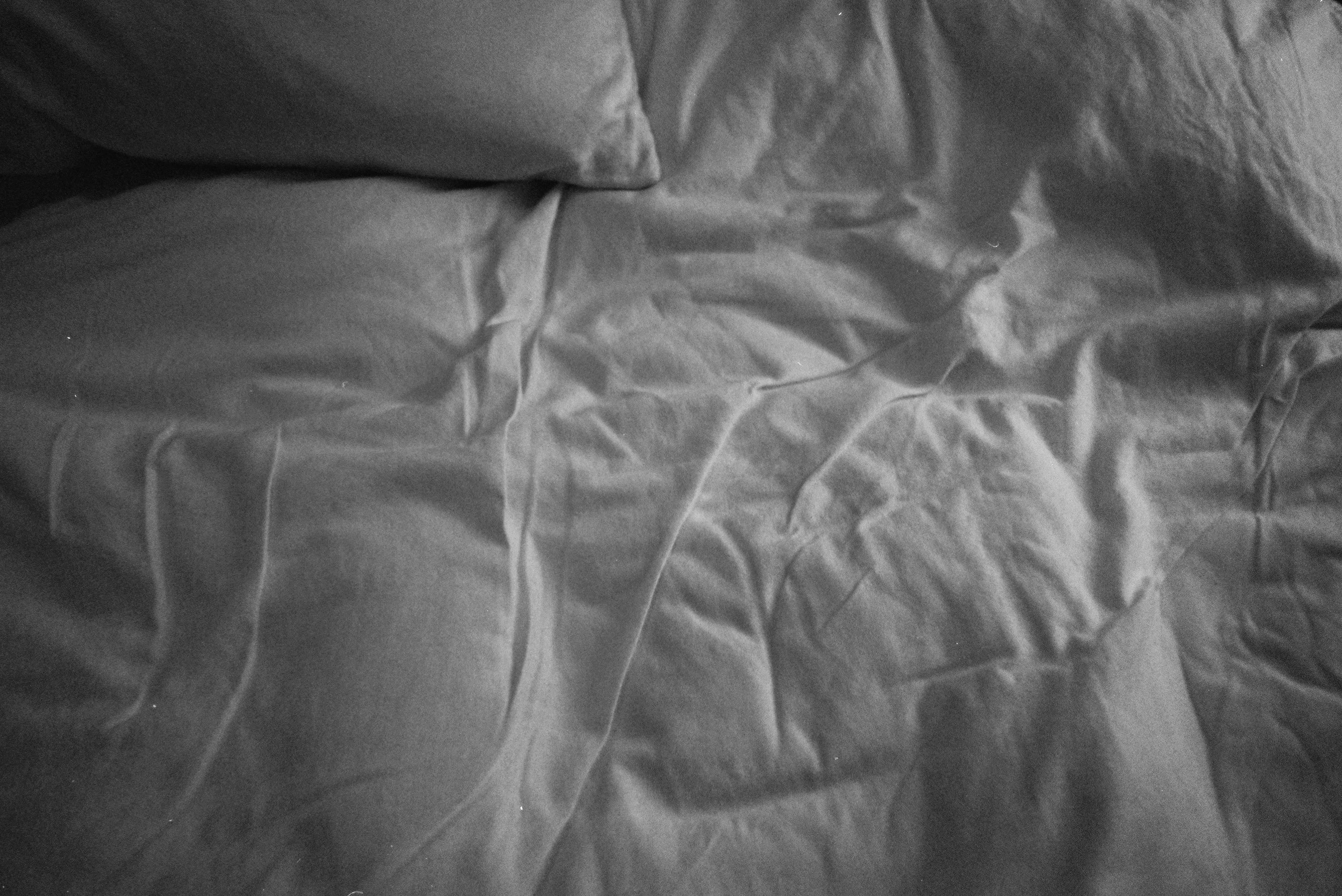 Mila Boudreau photograph - : BEFORE DINNER