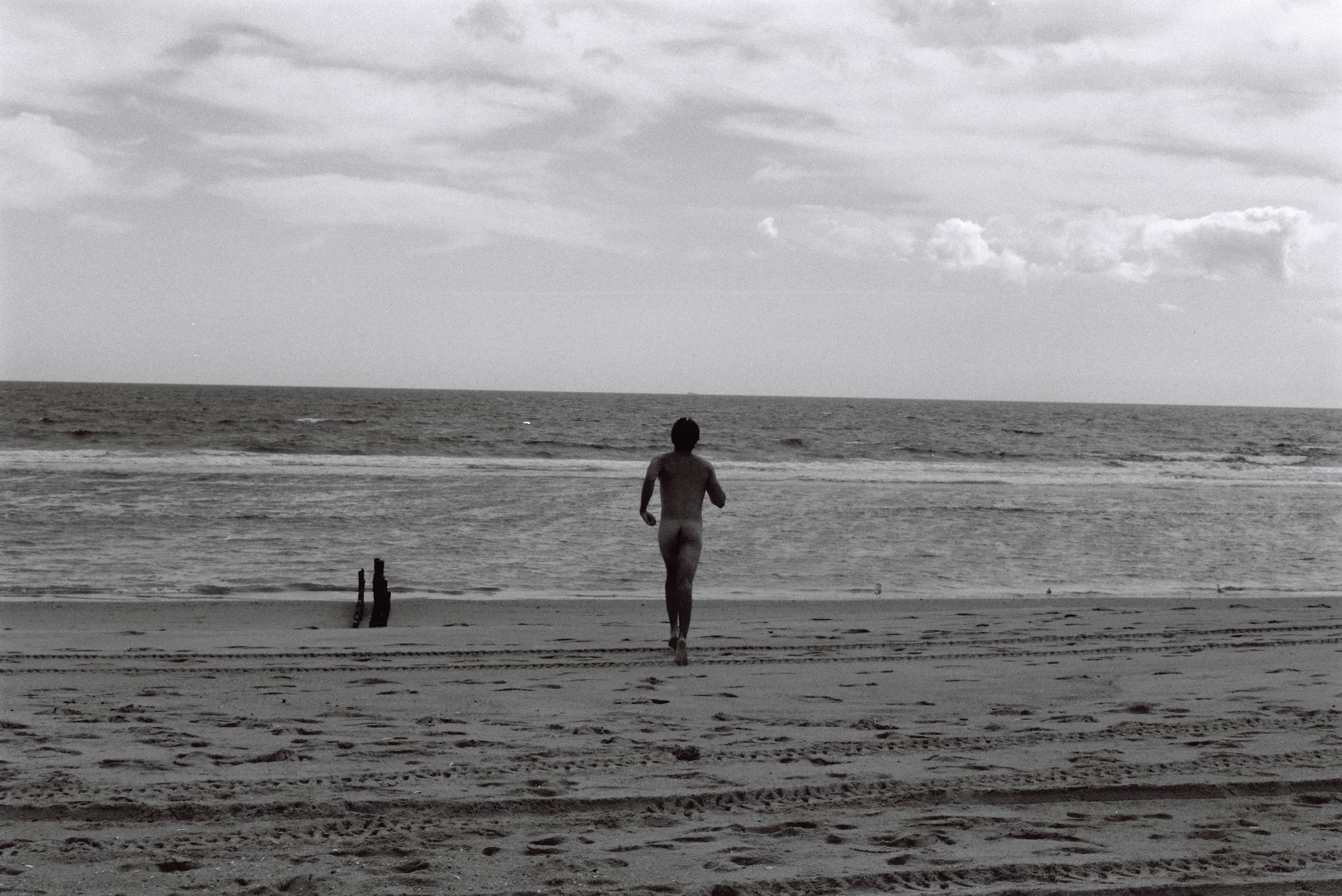 Mila Boudreau photograph - : ALMOST SPRING AT FORT TILDEN