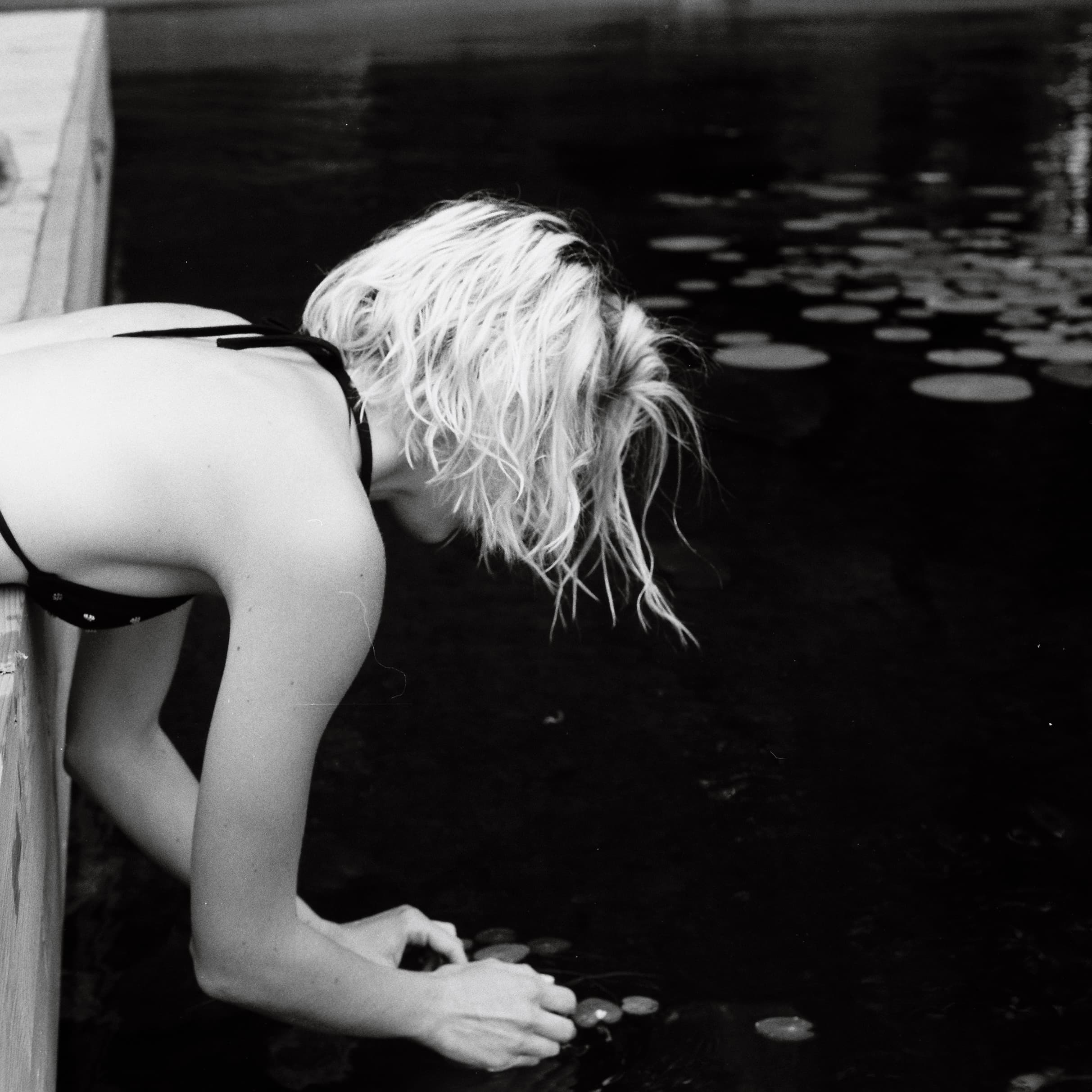 Mila Boudreau photograph - : CHRIS’S LILIES