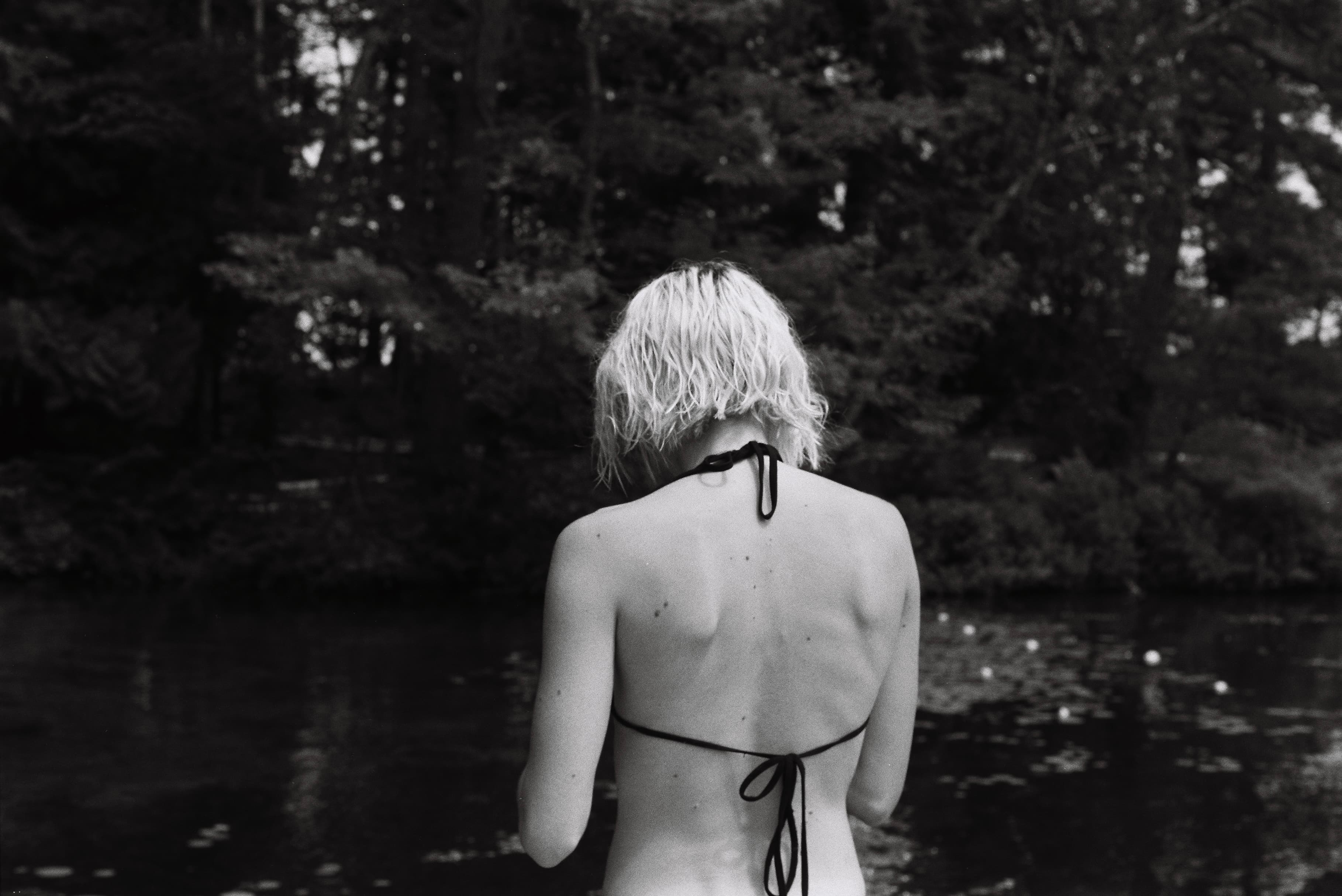 Mila Boudreau photograph - : CHRIS’S LILIES