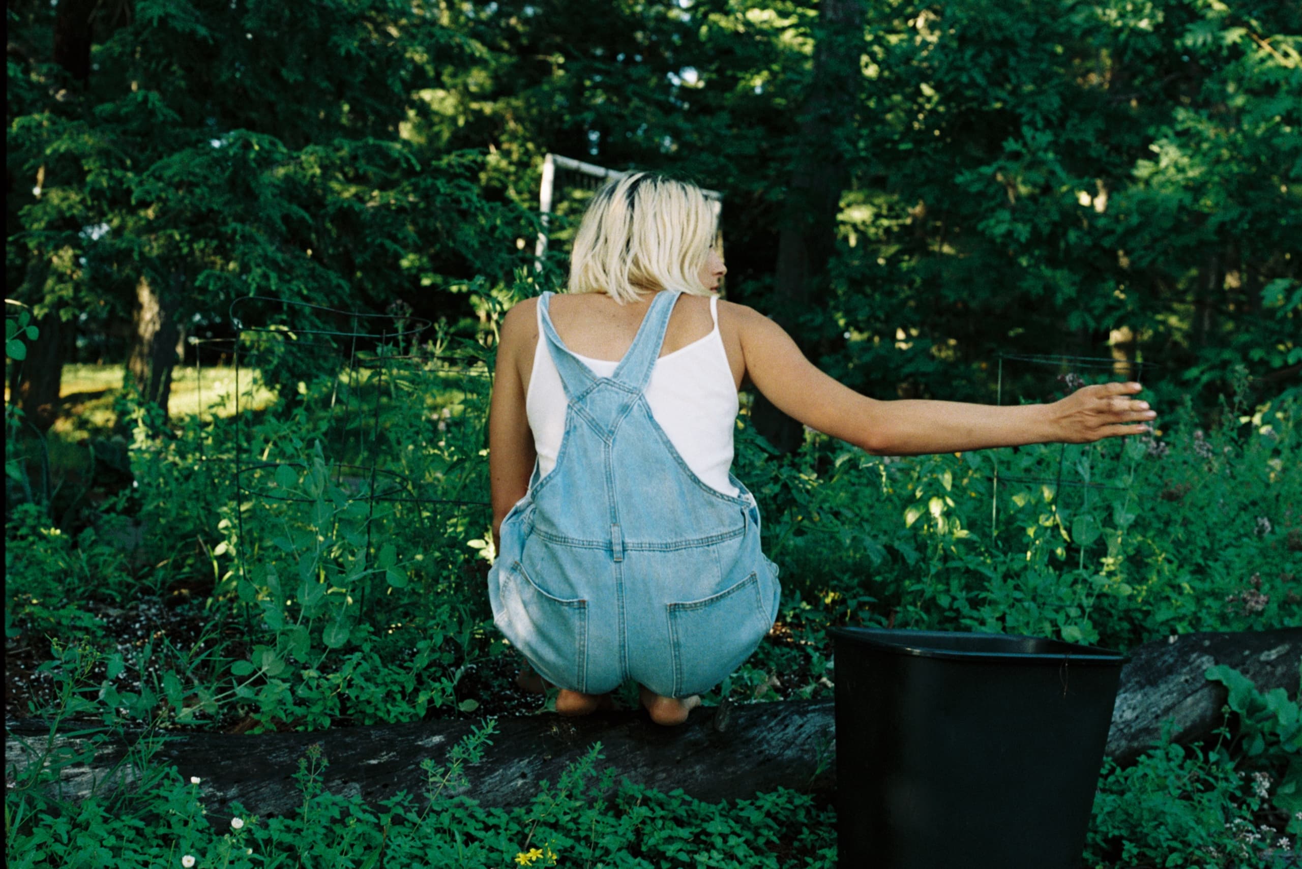 Mila Boudreau photograph - : FLOATING HEARTS GARDEN
