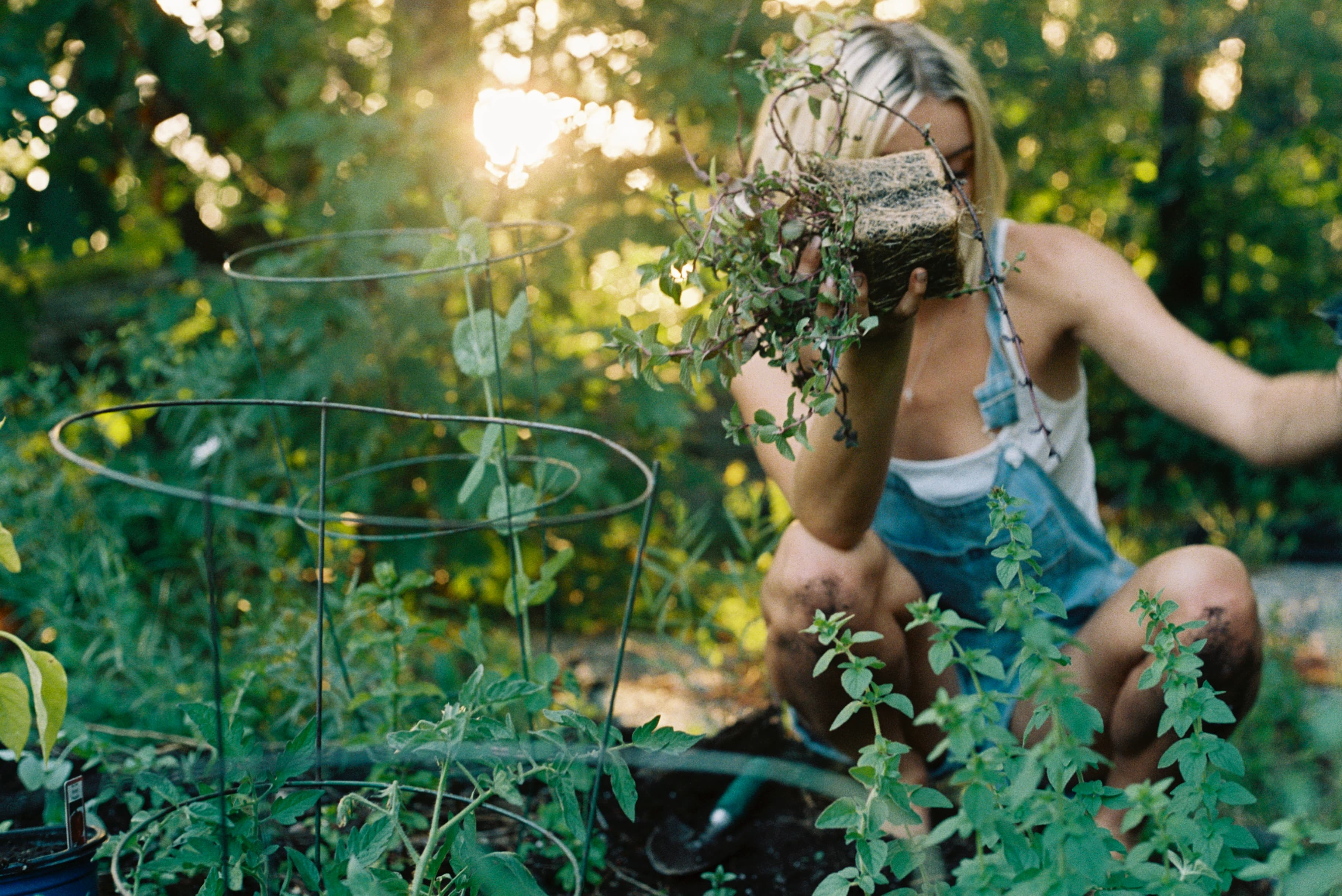Mila Boudreau photograph - : FLOATING HEARTS GARDEN