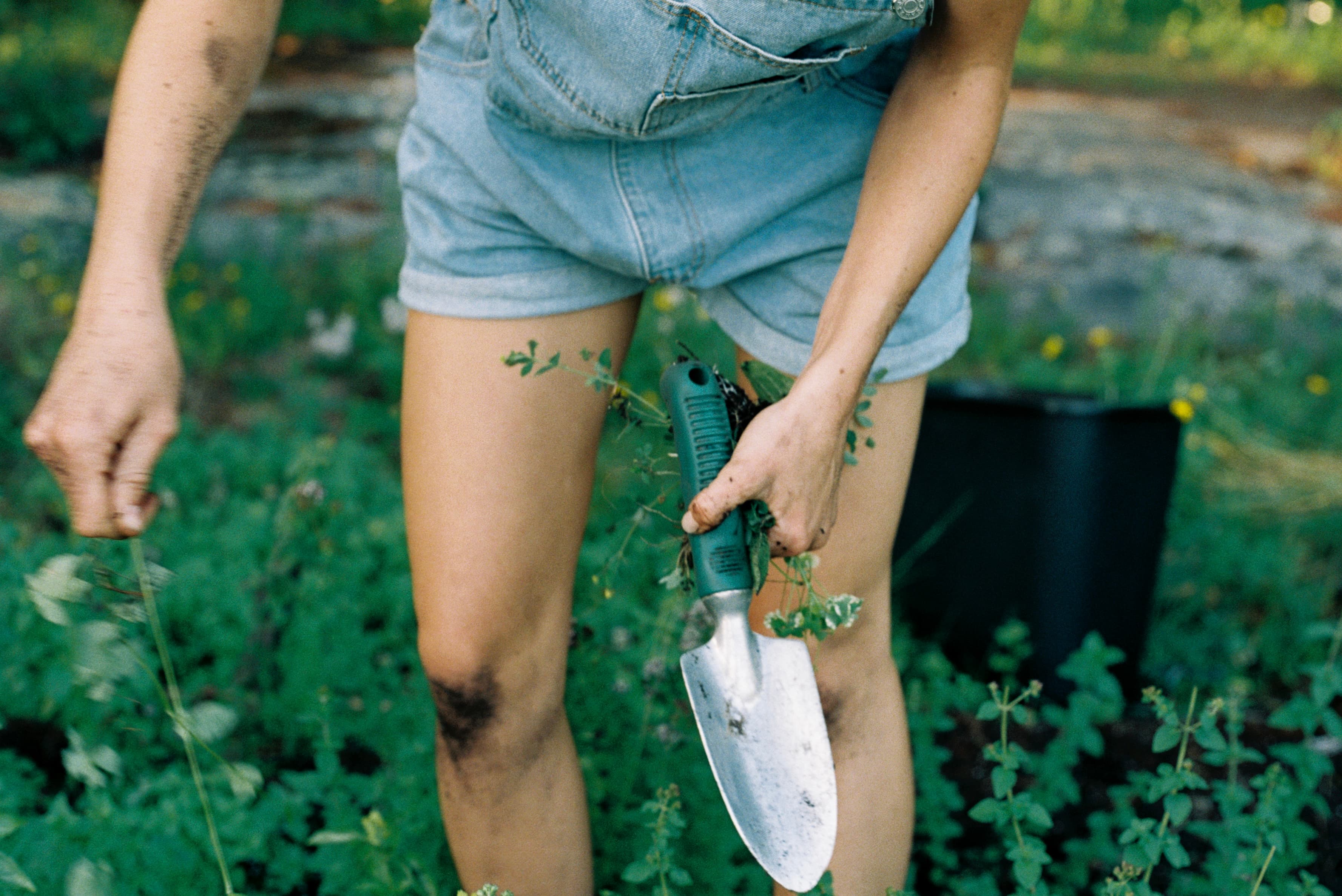 Mila Boudreau photograph - : FLOATING HEARTS GARDEN