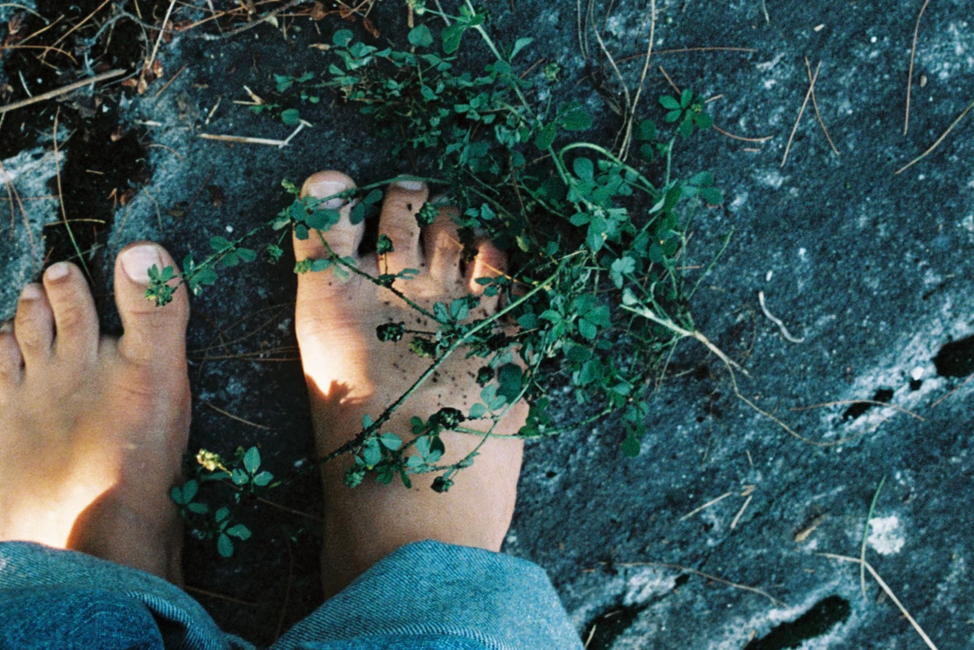 Mila Boudreau photograph - : FLOATING HEARTS GARDEN